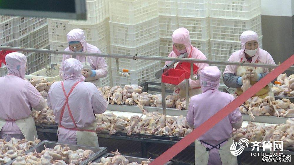 山东这35批次食品不合格 青岛天地人和餐饮、北京二锅头上榜